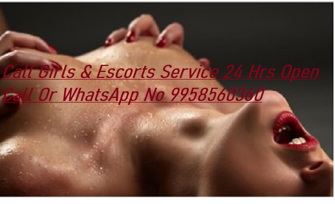 Call Girls near Taj Palace Chanakyapuri (Delhi) 9958560360, Female Escorts Service