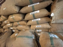 Buyers and Distributors, Exporters and Importers of Roasted Arabica Robusta coffee beans Kenya, Chin