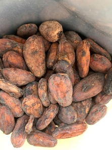 Export African Cocoa Powder Supplier | Source Premium cocoa Sudan USA, UK, South Africa +27631501216